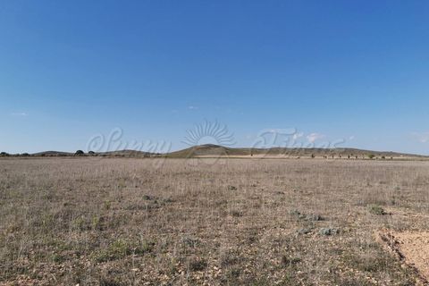 Helårsgrund i Yecla, Murcia, Yecla - € 29.900 | Ref: SF0304 - foto 2